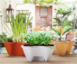 Stackable Planter Vertical Garden Herbs & Vegetables