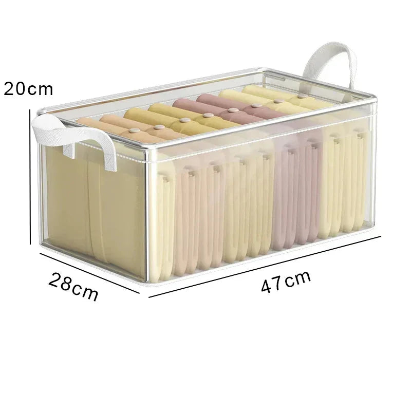 Storage Box Transparent Foldable & Stackable with Stainless Steel Frame