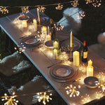 String Lights Copper Starburst Warm White Battery Or Plug-In