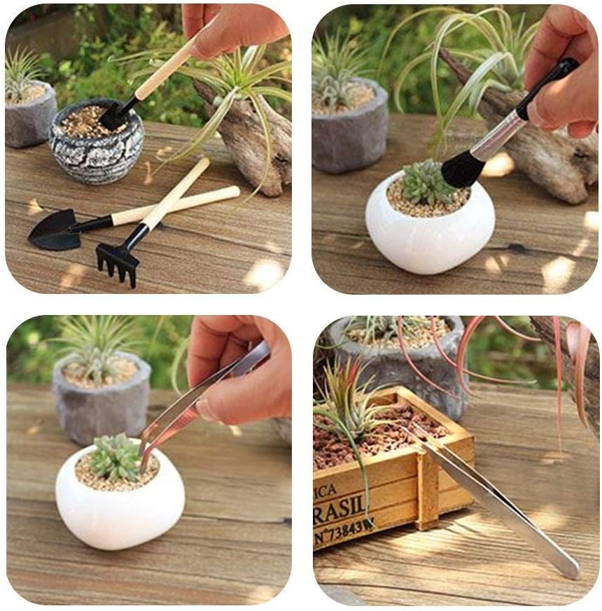 Succulent Gardening Tool Kit Complete Set With Spray Bottle