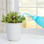 Succulent Gardening Tool Kit Complete Set With Spray Bottle