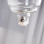 Teapot Glass Loose Leaf Infuser Dragon Design