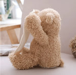 Teddy Bear Plush Interactive Six Phrases Moving Arms 11.8 Inch