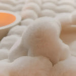 Throw Blanket Plush Lightweight Machine Washable