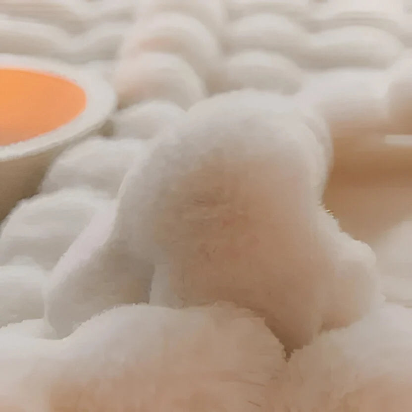 Throw Blanket Plush Lightweight Machine Washable