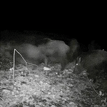 Trail Camera 16MP Infrared Night Vision 0.7-Second Trigger Speed
