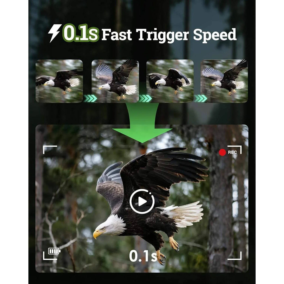 Trail Camera Solar-Powered 4K 64MP Night Vision