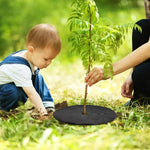 Tree Ring Breathable Weed Barrier