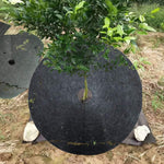 Tree Ring Breathable Weed Barrier