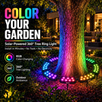Tree Ring Landscape Light Seven-Color RGB Modular 360°