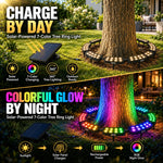 Tree Ring Landscape Light Seven-Color RGB Modular 360°