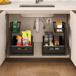 Under-Sink Organizer 2-Tier Pull-Out Storage