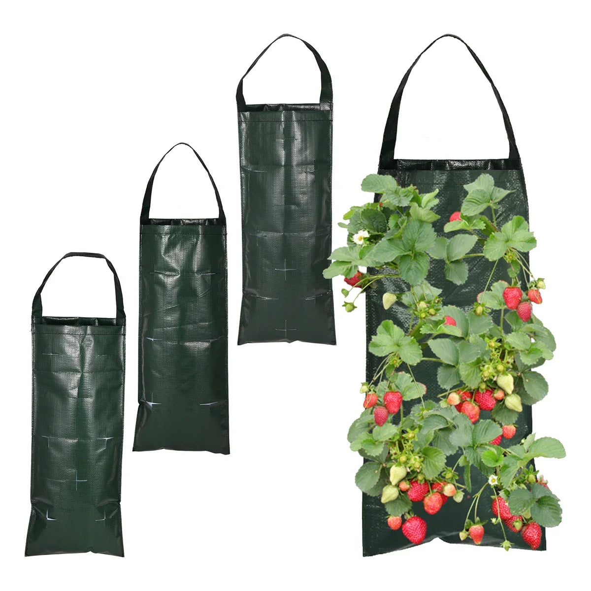 Vertical Planter Bag 10 Pockets Water-Permeable Felt Indoor & Outdoor