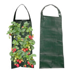 Vertical Planter Bag 10 Pockets Water-Permeable Felt Indoor & Outdoor