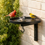 Wall-Mounted Bird Bath 4-in-1 Feeder & Planter Rust-Resistant Metal