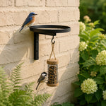 Wall-Mounted Bird Bath 4-in-1 Feeder & Planter Rust-Resistant Metal