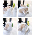 Wall-Mounted Cat Toy Avocado-Shaped Catnip & Silvervine