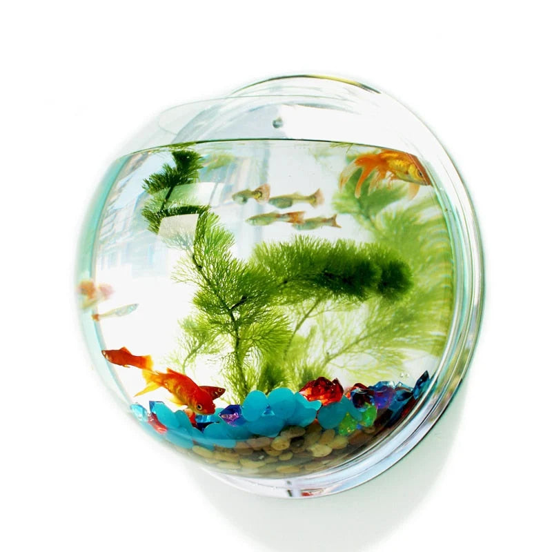 Wall-Mounted Fish Tank Acrylic Space-Saving Wide Hanging Hole