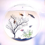 Wall-Mounted Fish Tank Acrylic Space-Saving Wide Hanging Hole
