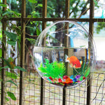 Wall-Mounted Fish Tank Acrylic Space-Saving Wide Hanging Hole