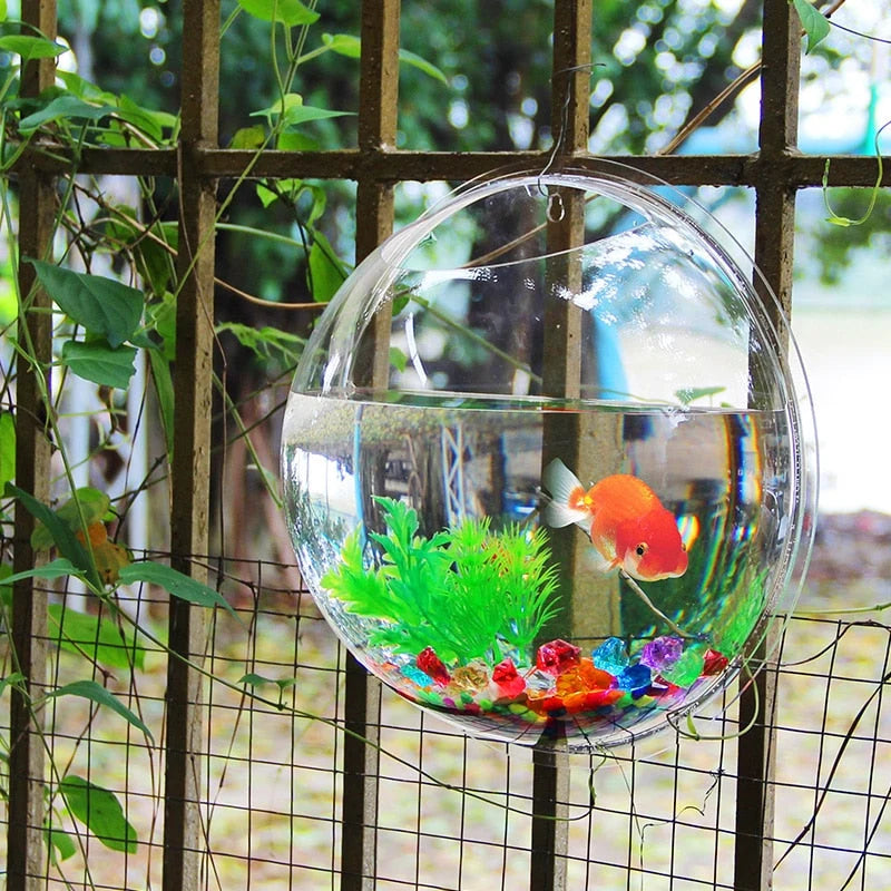 Wall-Mounted Fish Tank Acrylic Space-Saving Wide Hanging Hole