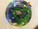 Wall-Mounted Fish Tank Acrylic Space-Saving Wide Hanging Hole