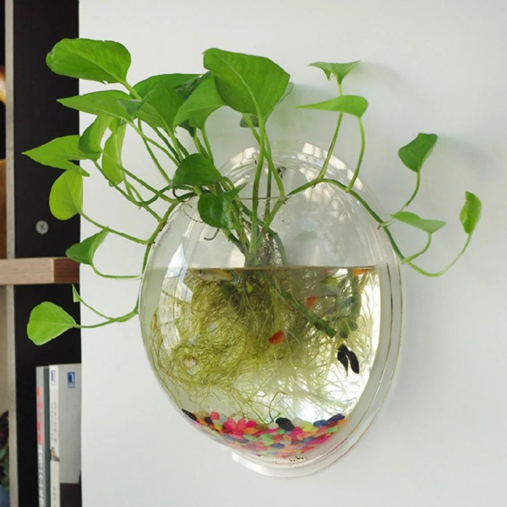 Wall-Mounted Fish Tank Acrylic Space-Saving Wide Hanging Hole