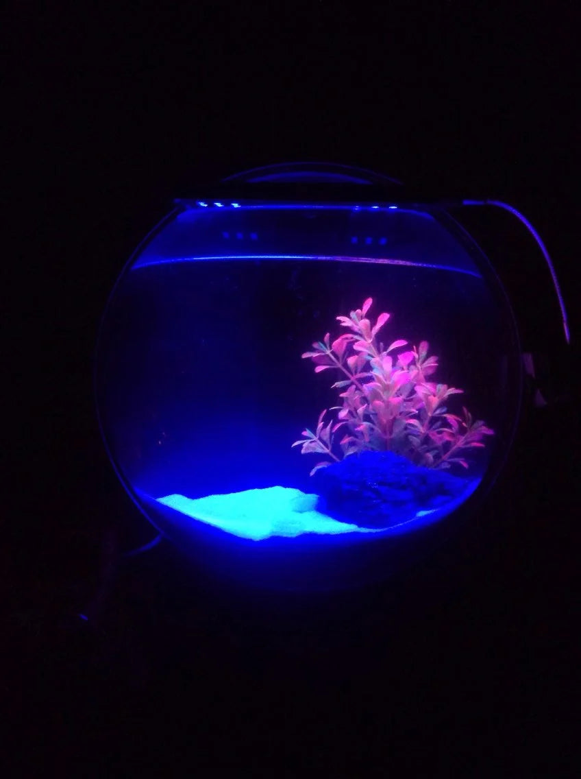 Wall-Mounted Fish Tank Acrylic Space-Saving Wide Hanging Hole