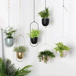 Wall-Mounted Plant Holder Iron Adjustable Chain Space-Saving