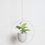 Wall-Mounted Plant Holder Iron Adjustable Hanging Chain Space-Saving