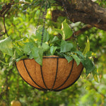 Wall Planter Half-Round Steel Frame Coconut Fiber Liner