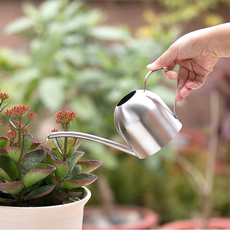 Watering Can Stainless Steel Precision Pouring Spout