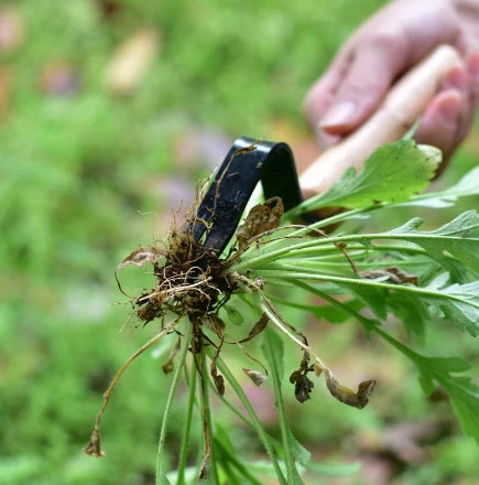 Weed Remover Handheld Root-Grip Chemical-Free