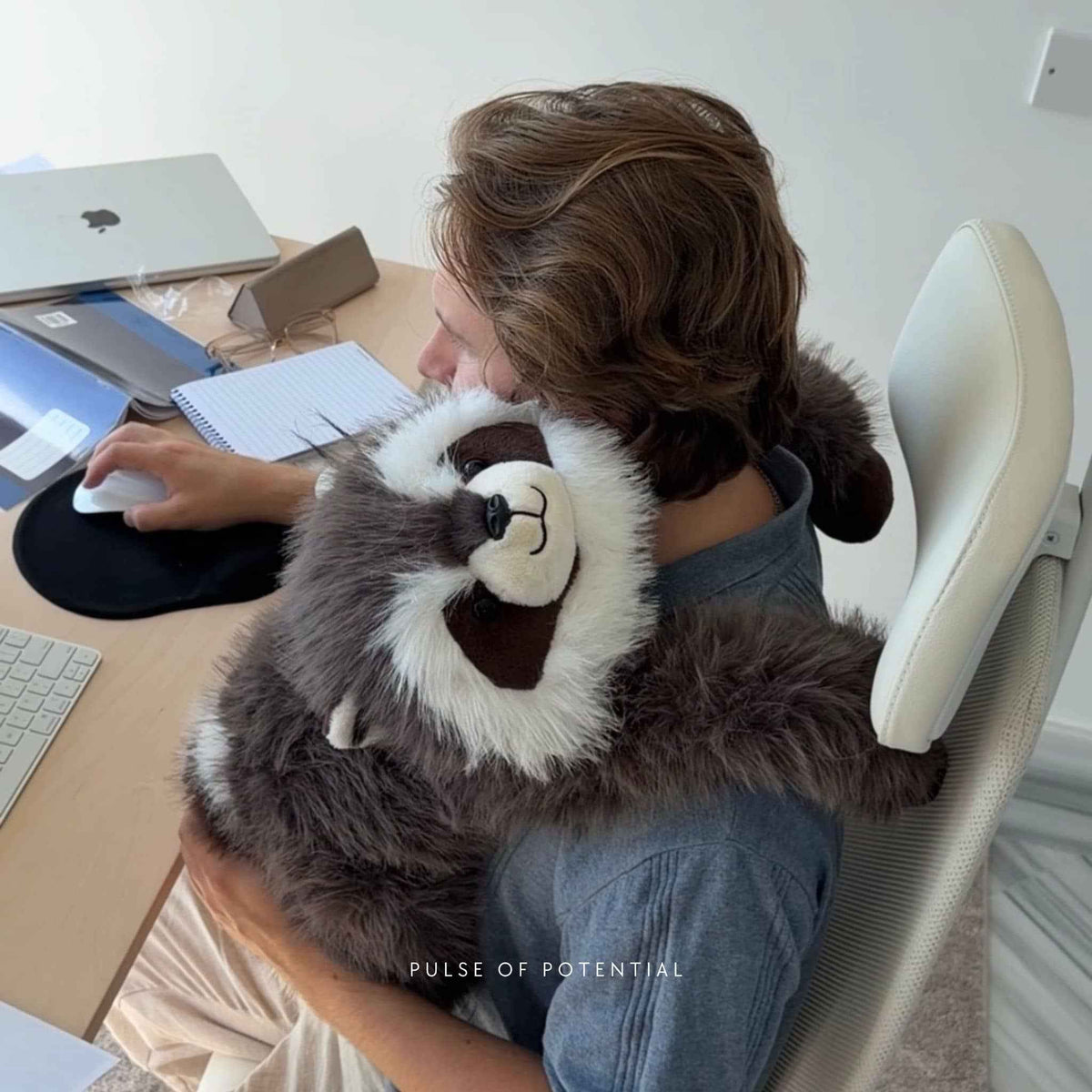 Weighted Stuffed Animal Raccoon Extra-Long Arms