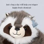 Weighted Stuffed Animal Raccoon Extra-Long Arms
