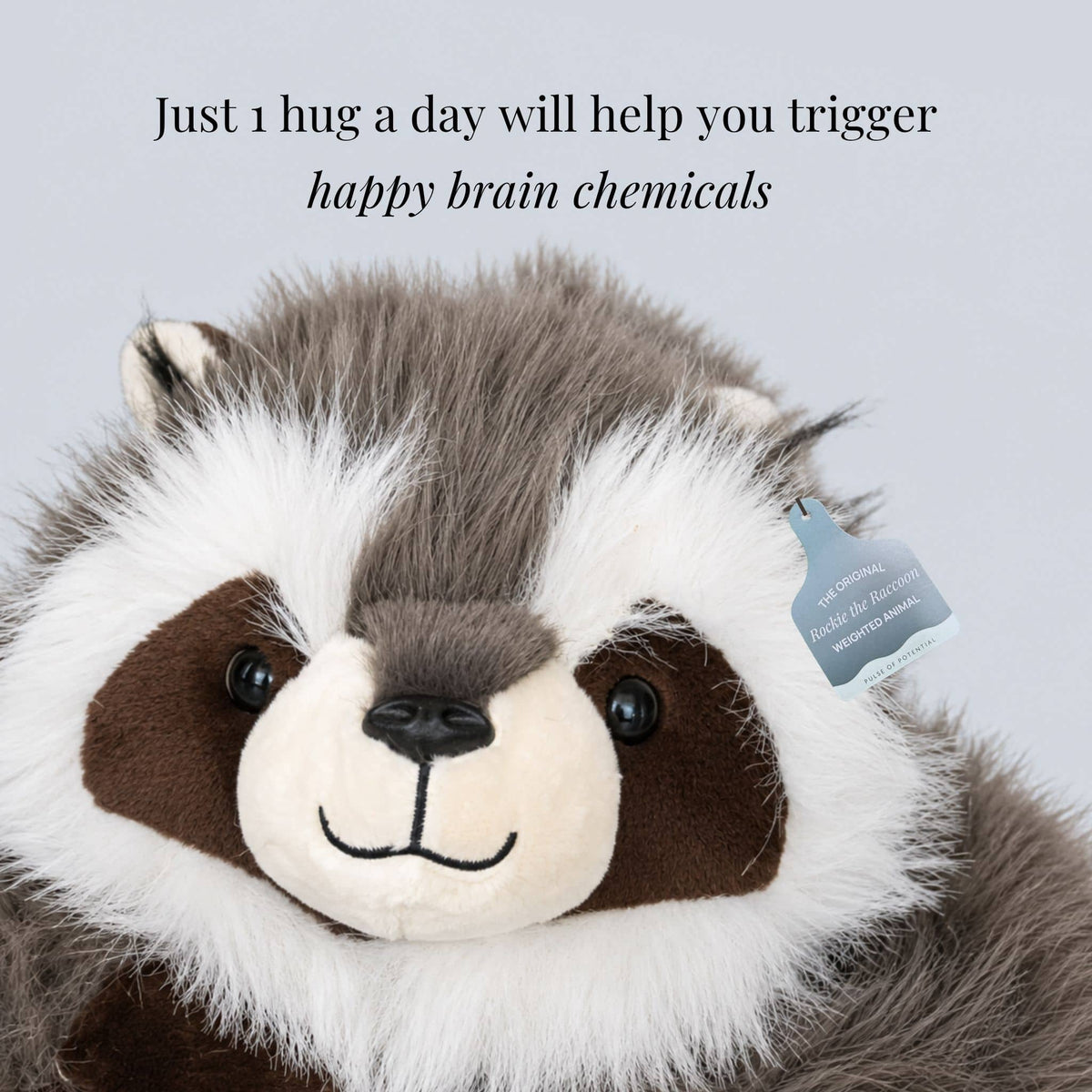 Weighted Stuffed Animal Raccoon Extra-Long Arms