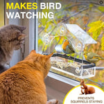 Window Bird Feeder Clear Acrylic Suction Cup Mount
