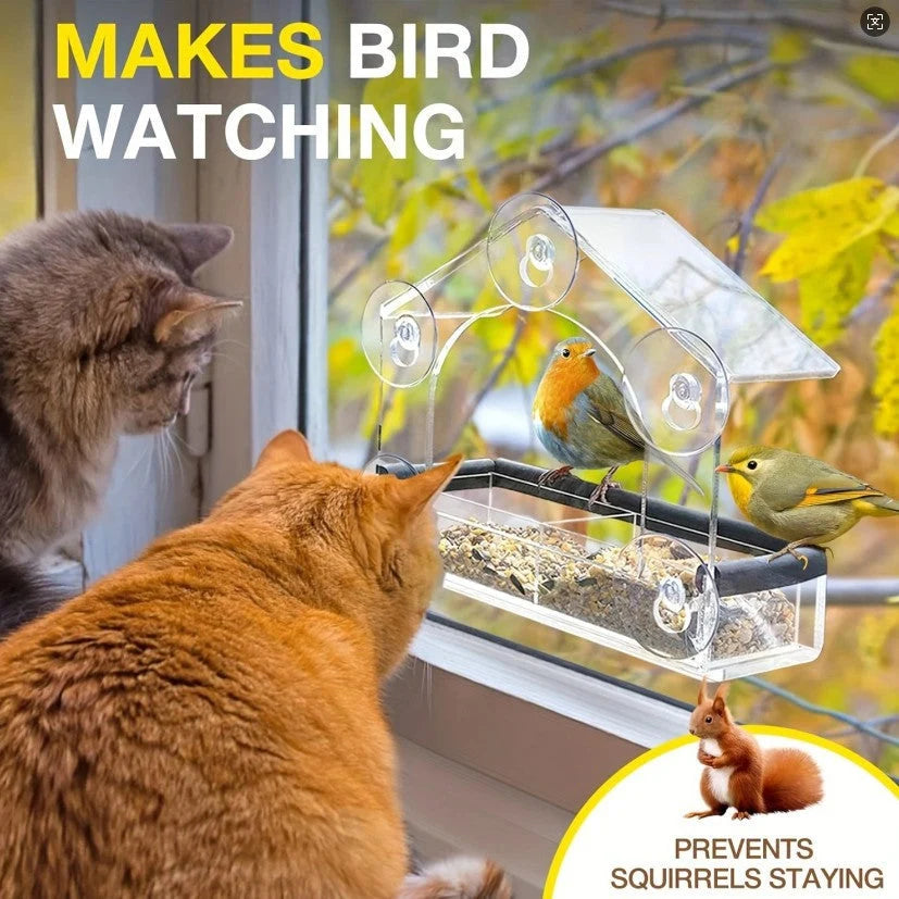 Window Bird Feeder Clear Acrylic Suction Cup Mount
