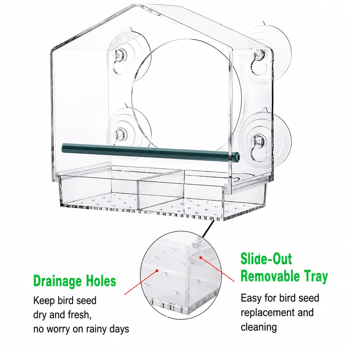 Window Bird Feeder Clear Acrylic Suction Cup Mount