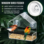 Window Bird Feeder Clear Suction Cup Mount