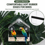 Window Bird Feeder Clear Suction Cup Mount