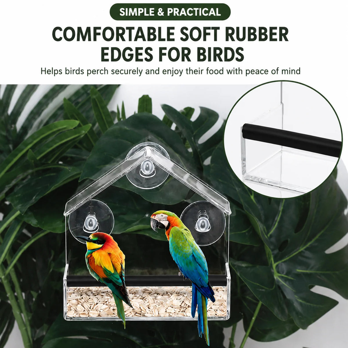 Window Bird Feeder Clear Suction Cup Mount
