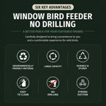 Window Bird Feeder Clear Suction Cup Mount