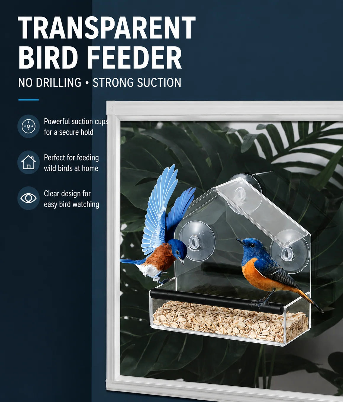 Window Bird Feeder Clear Suction Cup Mount