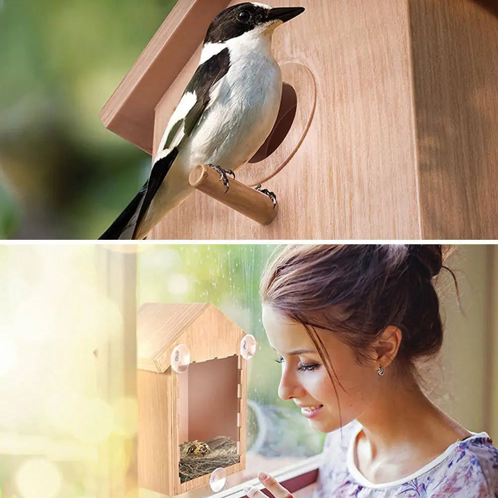 Window Bird Feeder Suction Cup Mount Easy To Clean