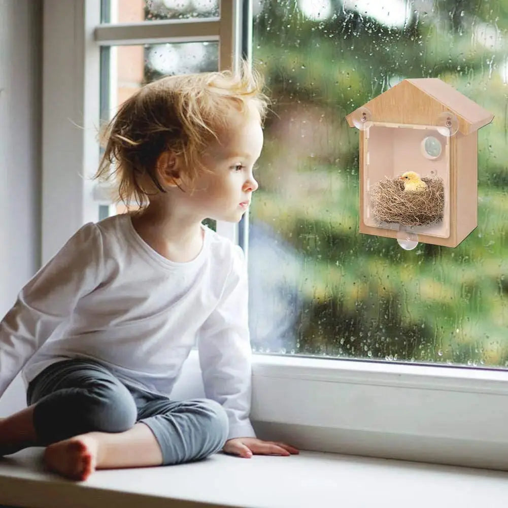 Window Bird Feeder Suction Cup Mount Easy To Clean