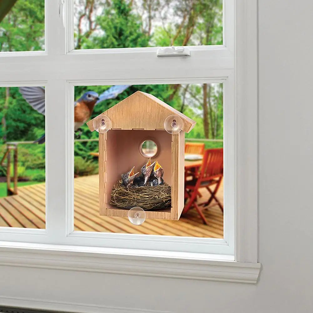 Window Bird Feeder Suction Cup Mount Easy To Clean