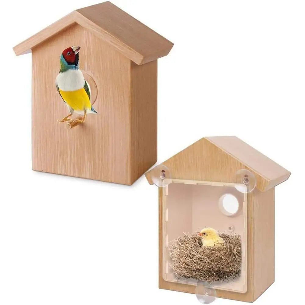 Window Bird Feeder Suction Cup Mount Easy To Clean