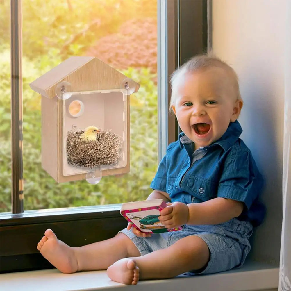 Window Bird Feeder Suction Cup Mount Easy To Clean