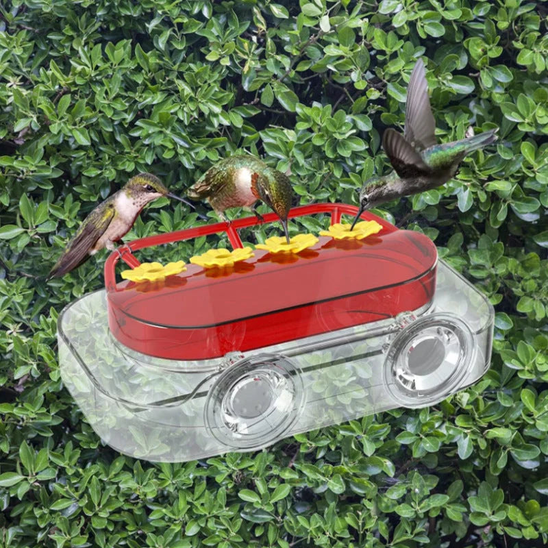 Window Hummingbird Feeder Clear Viewing Suction Mount Ant Moat